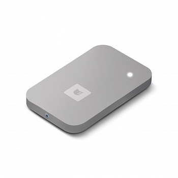 ESMART ER1701.2930 Считыватель Reader BLE серии STONE (цвет 229 silver gray)