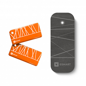 ESMART ER1510.2630 Считыватель Reader SL3 серии STONE (цвет 226)