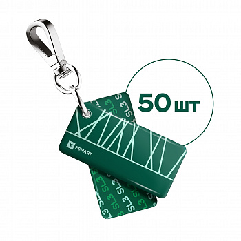 ESMART EC1127.645A Комплект Брелоков Доступ SL3 с карабином, макет "ЗЕЛЁНЫЙ" (644) (50 шт/компл)